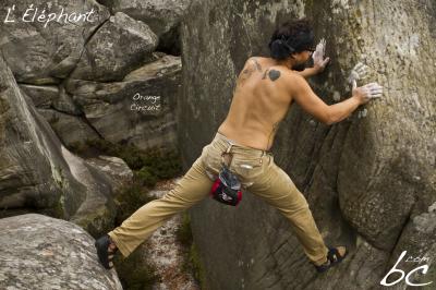 "Orange Circuit" (9)